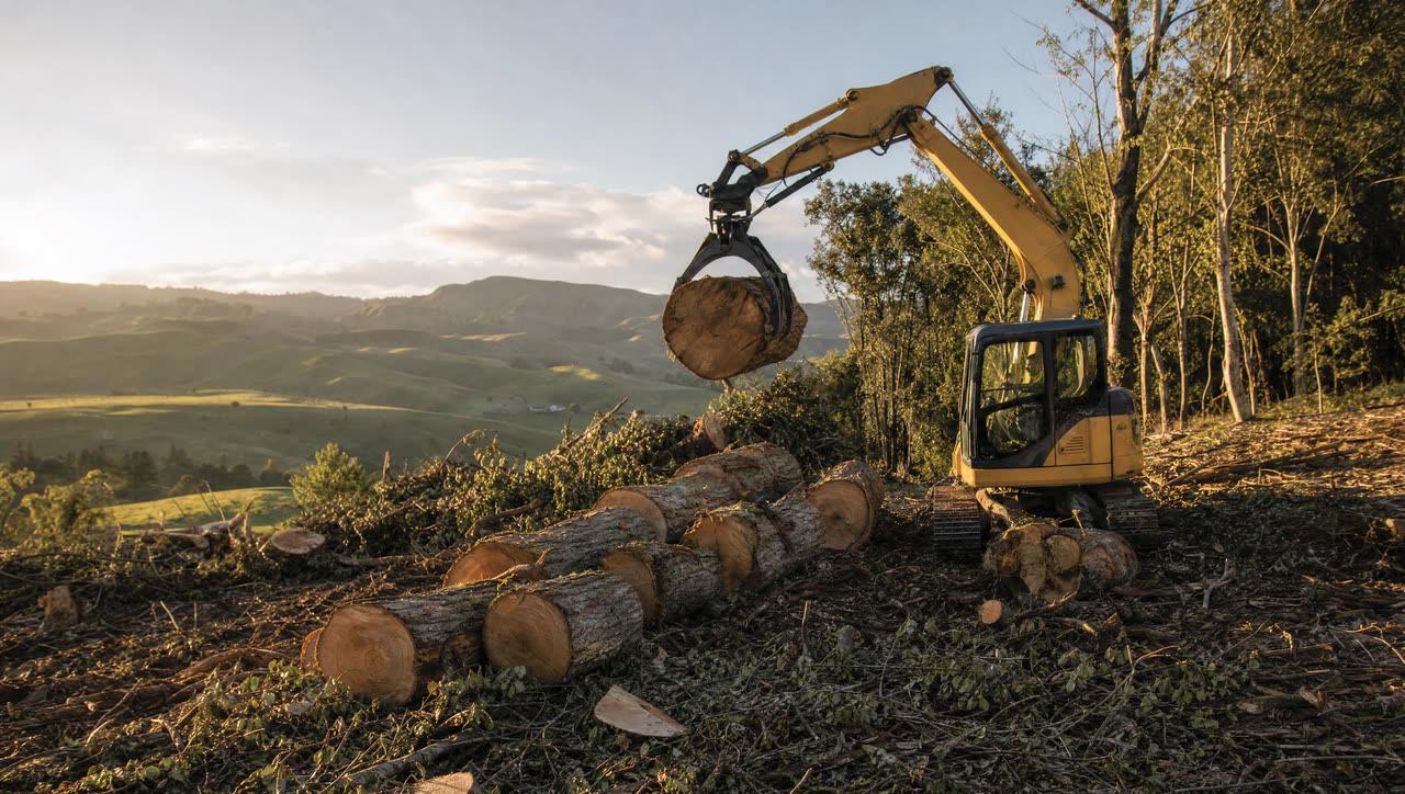 Excavator with a grapple stacking felled logs on a cleared rural site